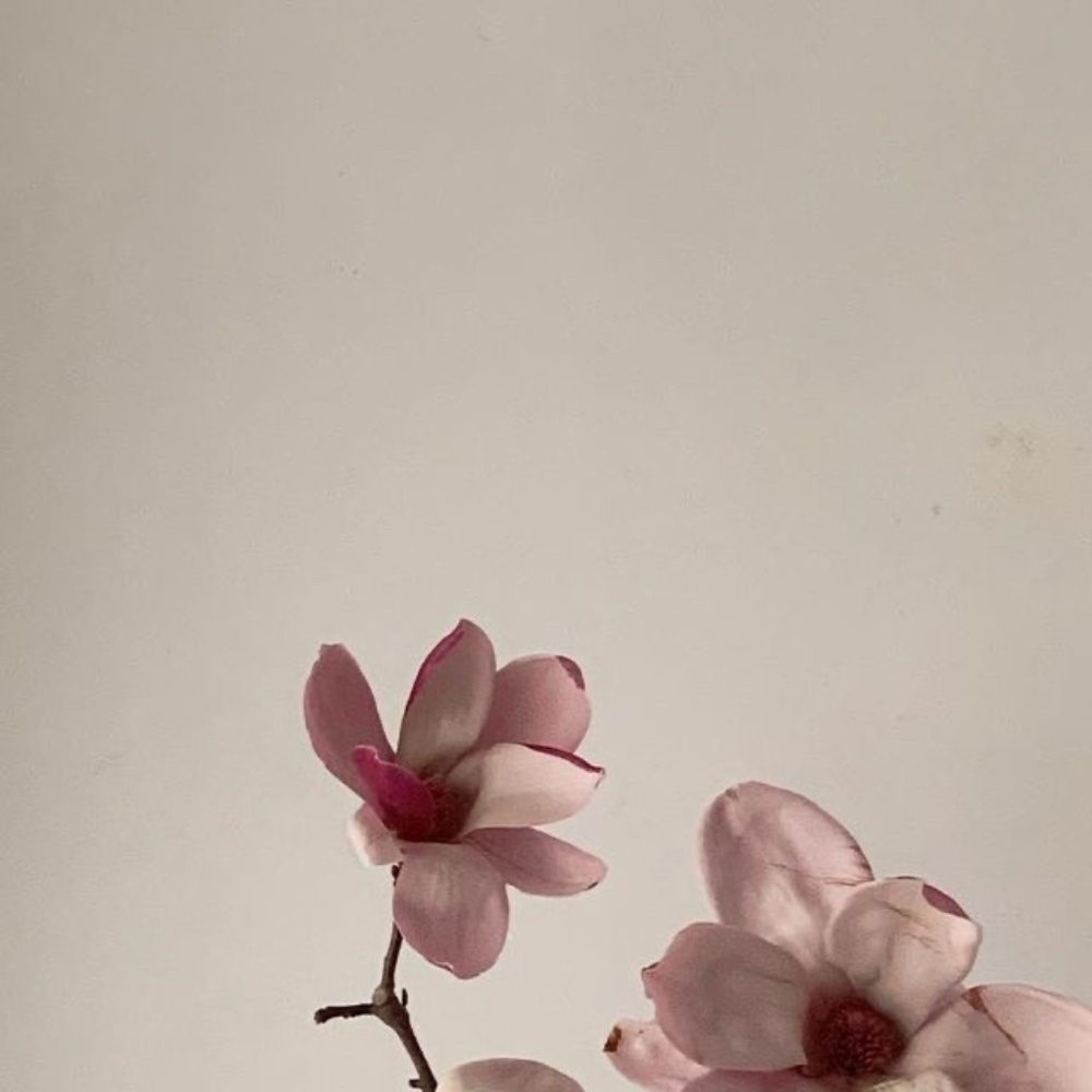 Meet your Posher, Abigail